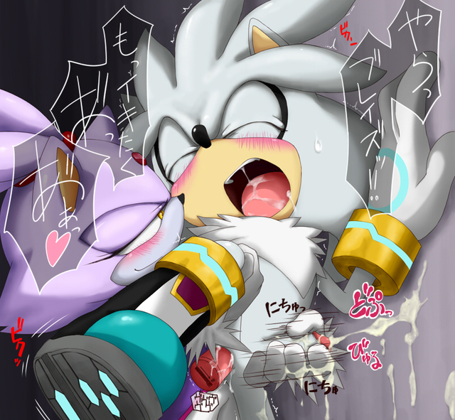 sonic and blaze hentai hentai search results sonic team cat fef cartoon hedgehog blaze silver