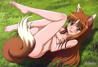 spice and wolf hentai anonymousfrench lusciousnet spice wolf hentai furries pictures album good question