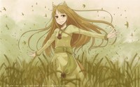 spice and wolf hentai manga data wallpaper spiceandwolf spice wolf