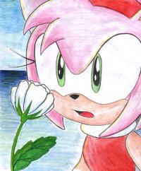 maximum ride hentai pre enchanted rose sonamy fans morelikethis fanart traditional drawings