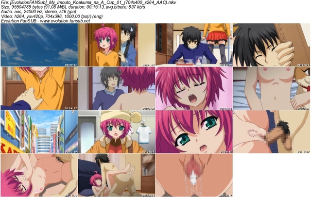 my imouto: koakuma na a cup hentai cup aac imouto koakuma evolutionfansub