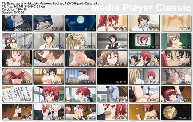 wana: hakudaku mamire no houkago hentai mkv houkago dvd hakudaku ripped mamire wana ～