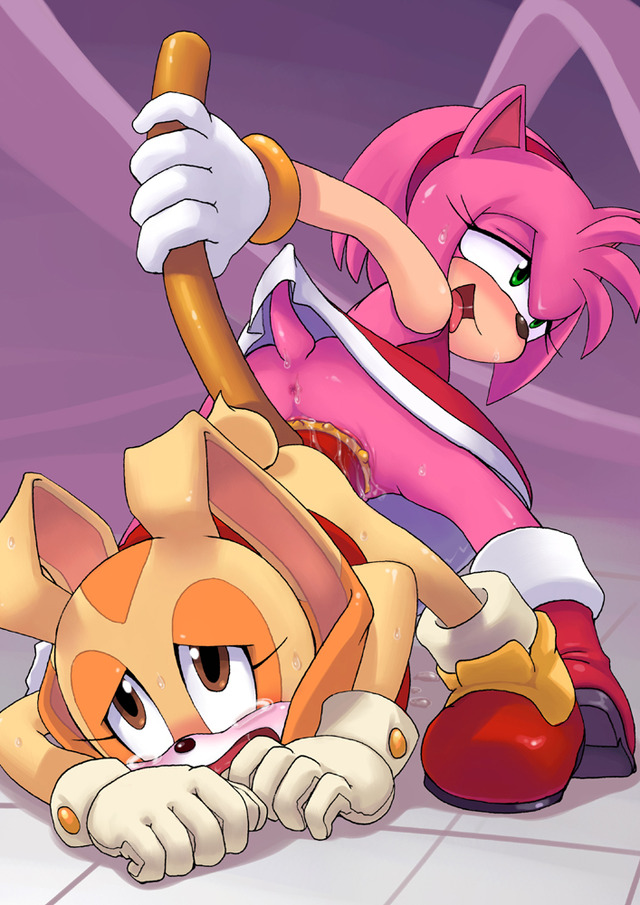 amy rose e hentai hentai net amy data sonic team cream rose rule hedgehog rabbit paheal