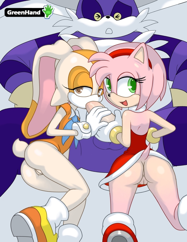 amy rose e hentai hentai amy media rose