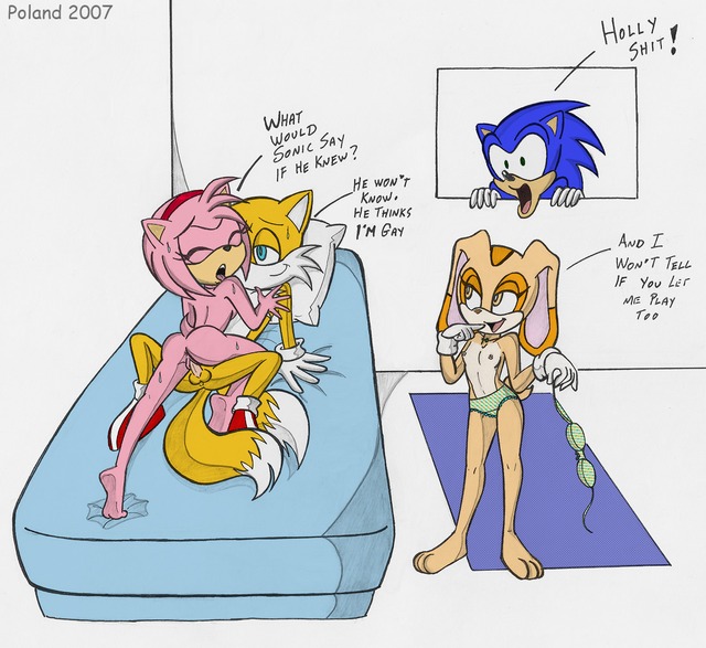 amy rose sonic hentai hentai amy sonic team cream rose hedgehog rabbit tails poland sally bbeab sonicand