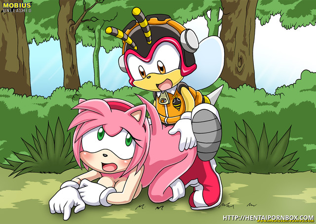 amy rose sonic hentai hentai sonic hedgehog