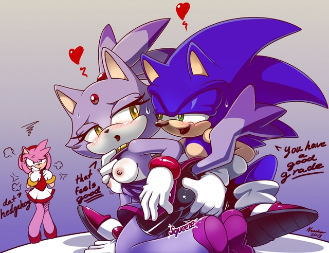 amy rose the hedgehog hentai amy sonic team cat rose hedgehog blaze nancher