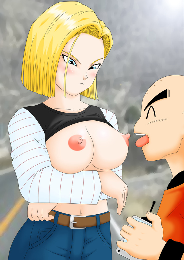 android 18 and goku hentai hentai page dragon android krillin ball dragonball