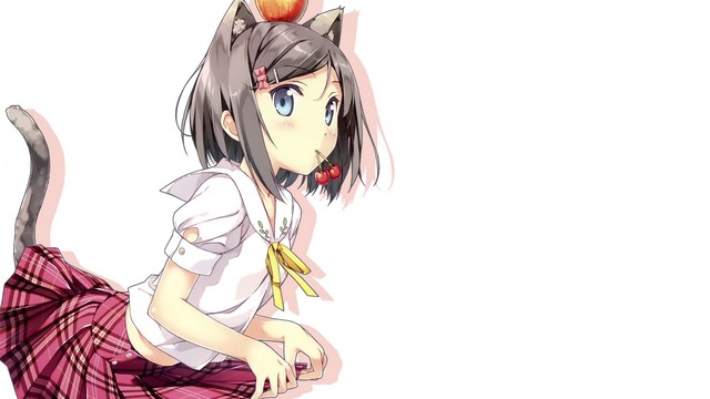 animal ear hentai hentai ouji warawanai neko kantoku show tsutsukakushi tsukiko animal ears konachan fcba