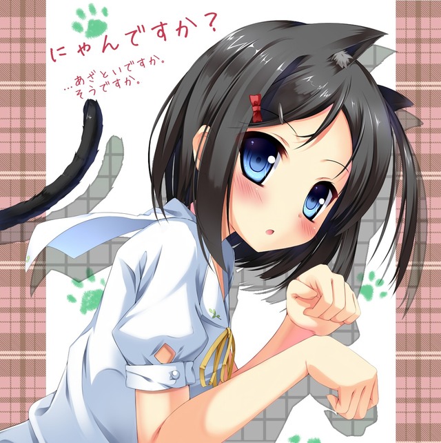 animal ears hentai hentai tail sample ouji warawanai neko show yande tsutsukakushi tsukiko animal ears nekomimi uzuki babb eeaf fujieda