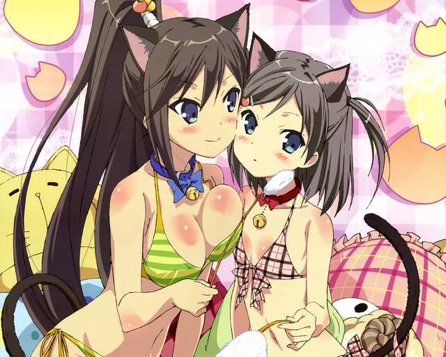 anime shuffle hentai wallpaper data cat tsukiko tsukushi