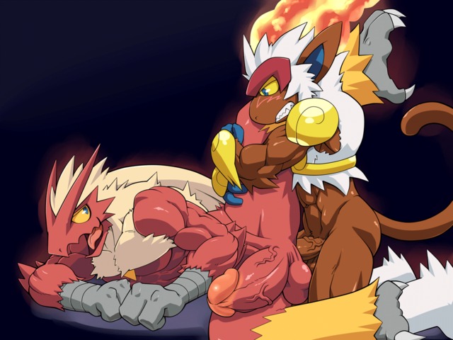 blaziken e hentai comment animated porkyman blaziken infernape