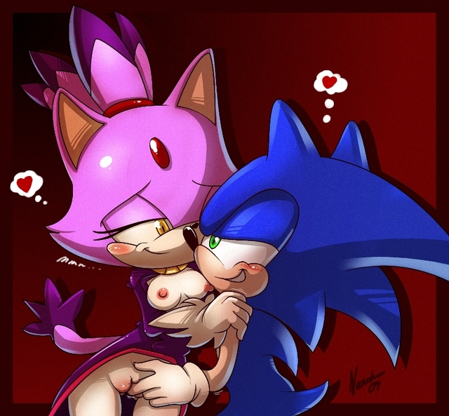 sonic the hedgehog  hentai pictures user sonic hedgehog blaze nancher caty