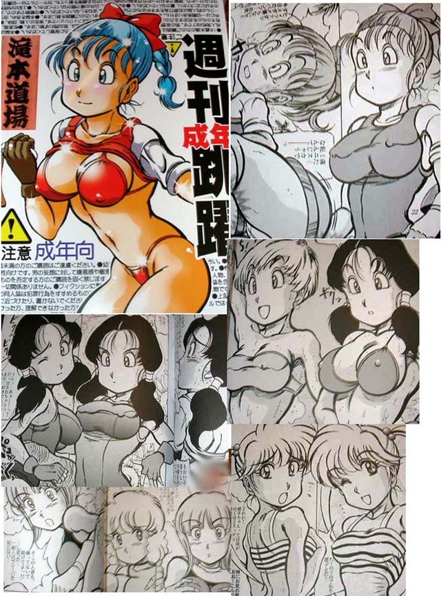 dragonball hentai doujinshi net get geo ebay buluma