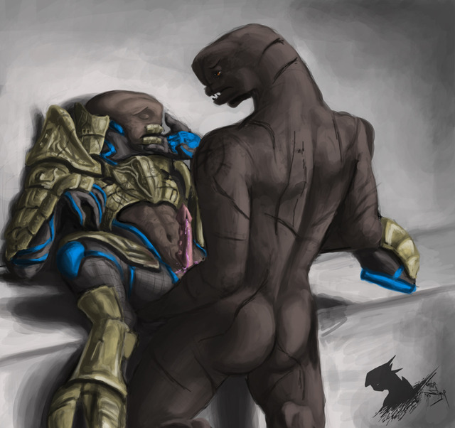 halo hentai galleries porn media halo sangheili