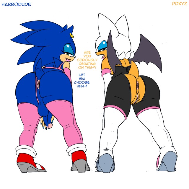 rouge sonic hentai sonic team hedgehog def rouge bat habbodude pdxyz