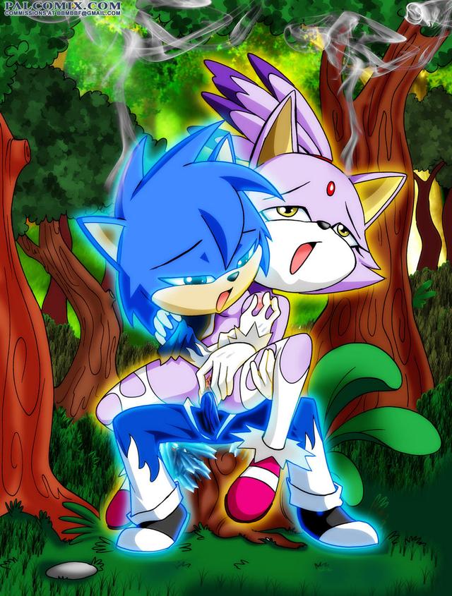 sonic hentai blaze sonic team cat palcomix blaze