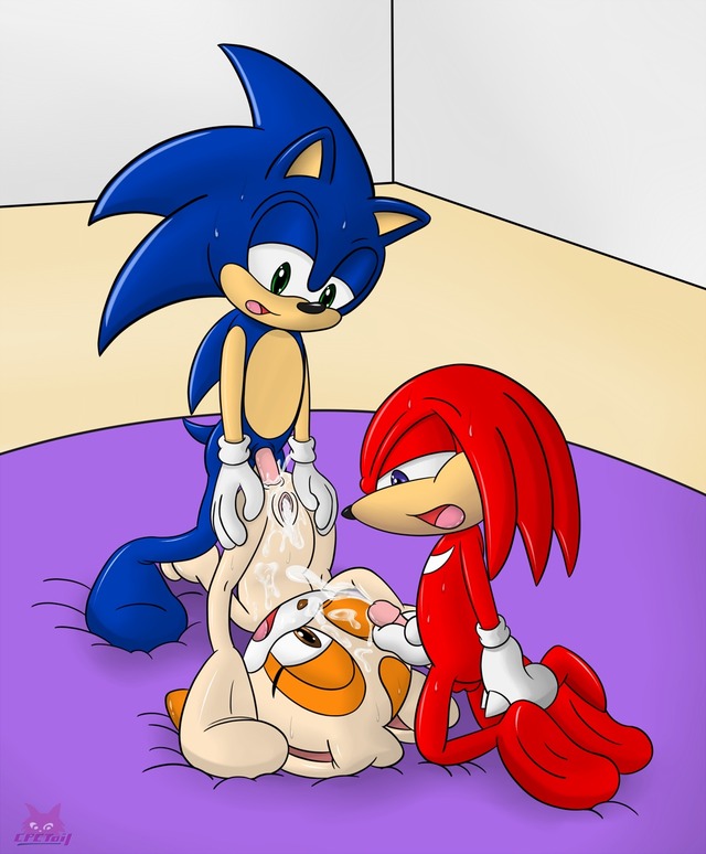 sonic hentai blog page