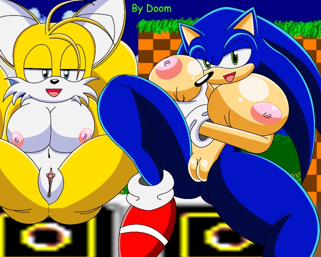 sonic hentai tails pictures album sonic team rule furries nobody