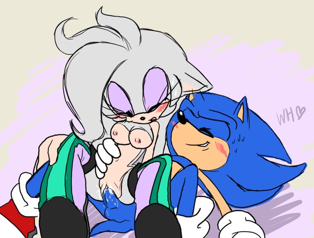 sonic riders hentai hentai page search pictures sonic team query unleashed hedgeho