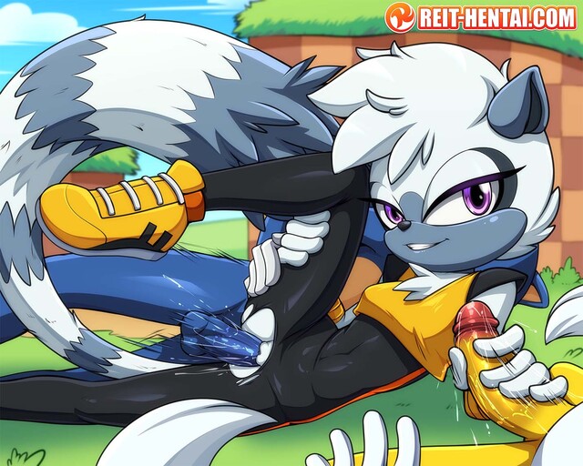 sonic the hedge hog hentai 