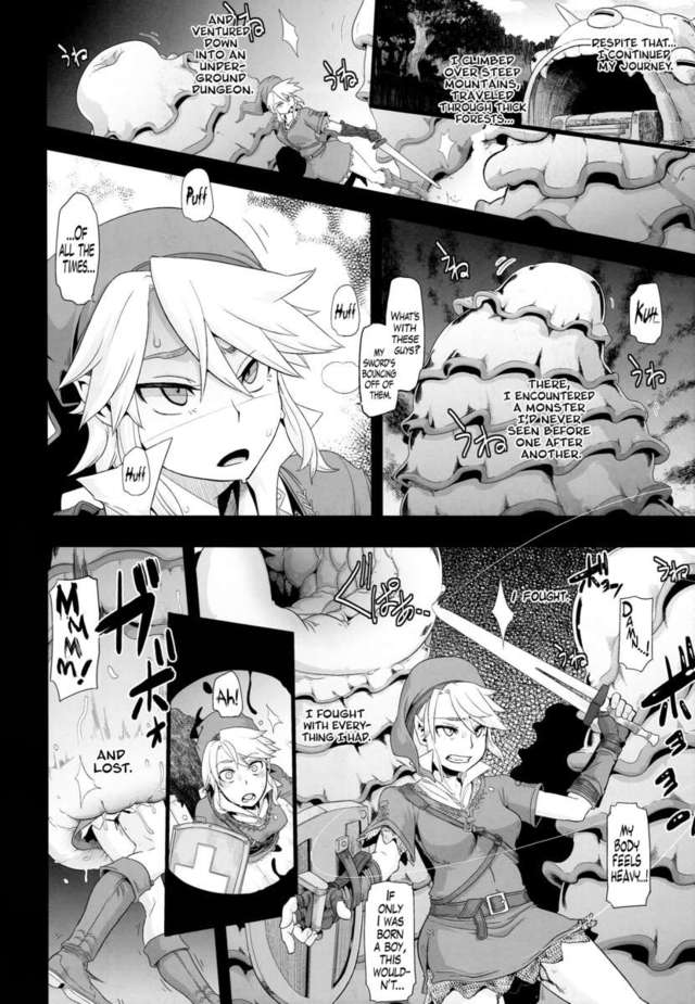 zelda hentai doujinshi bec fdf pig