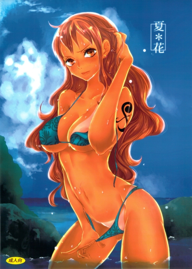 hentai one peace nami hentai fucking xxx hardcore queen one piece natsu vanilla hana nami 夏＊花