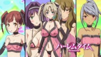 harem time the animation hentai imghost screens bhjitas torrent details