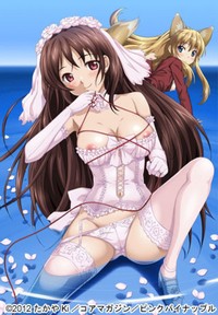 shoukoujo the animation hentai themes porn script timthumb anime jdxa