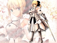 fate/stay night hentai albums userpics hentai saber fate stay night lily sets