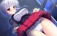 panties hentai wallpapers hentai panties ecchi blush anime girls shinjou yukina wallpaper