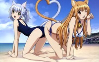 animal ears hentai konachan animal ears asobi iku barefoot beach bikini chaika cleavage eris swimsuit tail wink category manga