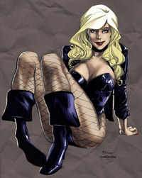 black canary hentai lusciousnet black canary looks invi pictures album screaming ecstasy lesbian