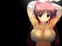 boobs hentai pics wallpaper hentai busty boobs tits anime