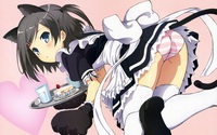 break blade hentai data wallpaper hentai ouji neko maid tsukiko