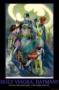 catwoman hentai images net demotivational poster holy viagra batman batgirl catwoman harley quinn