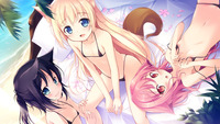 cute hentai girl pics cute neko hentai wallpaper