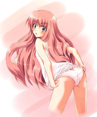 familiar of zero hentai animeblog uploaded louise sexy anime pic