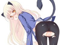 neko hentai pics albums anime hentai neko categorized galleries