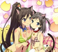 neko hentai hentai ouji warawanai neko tsukiko tsutsukakushi android wallpaper tsukushi