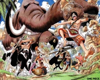 one piece hentai chopper thumbnails detail one piece anime nico robin roronoa zoro chopper monkey luffy nami sanji wall wallpaper