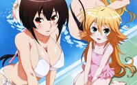 sekirei miya hentai data wallpaper sekirei