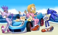 sonic blaze hentai amy rose blaze cat rouge bat sonic team hedgehog tikal echidna