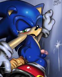 sonic the hedge hog hentai cab sammy stowes sonic team hedgehog page