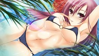 hentai anime chicks wallpaper hentai anime girls