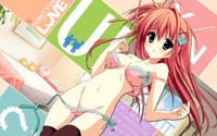 hentai girl wallpapers wallpaper hentai hoshizora kakaru hashi anime girls