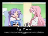 lucky star hentai konata carteles hiiragi