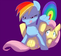 my little pony hentai rule 34 aeb bfe fluttershy friendship magic little pony rainbow dash