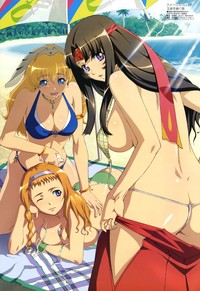 queen s blade e-hentai gallery ero misc queens blade yuri beach action page