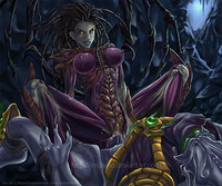 starcraft hentai kerrigan tassadar starcraft hentai page